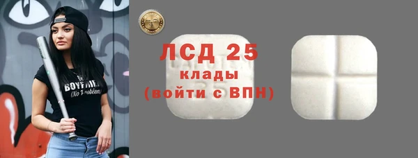 PSILOCYBIN Алзамай