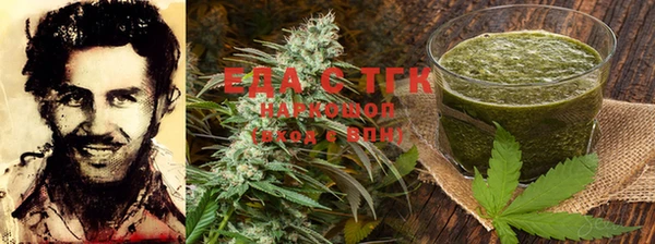 PSILOCYBIN Алзамай